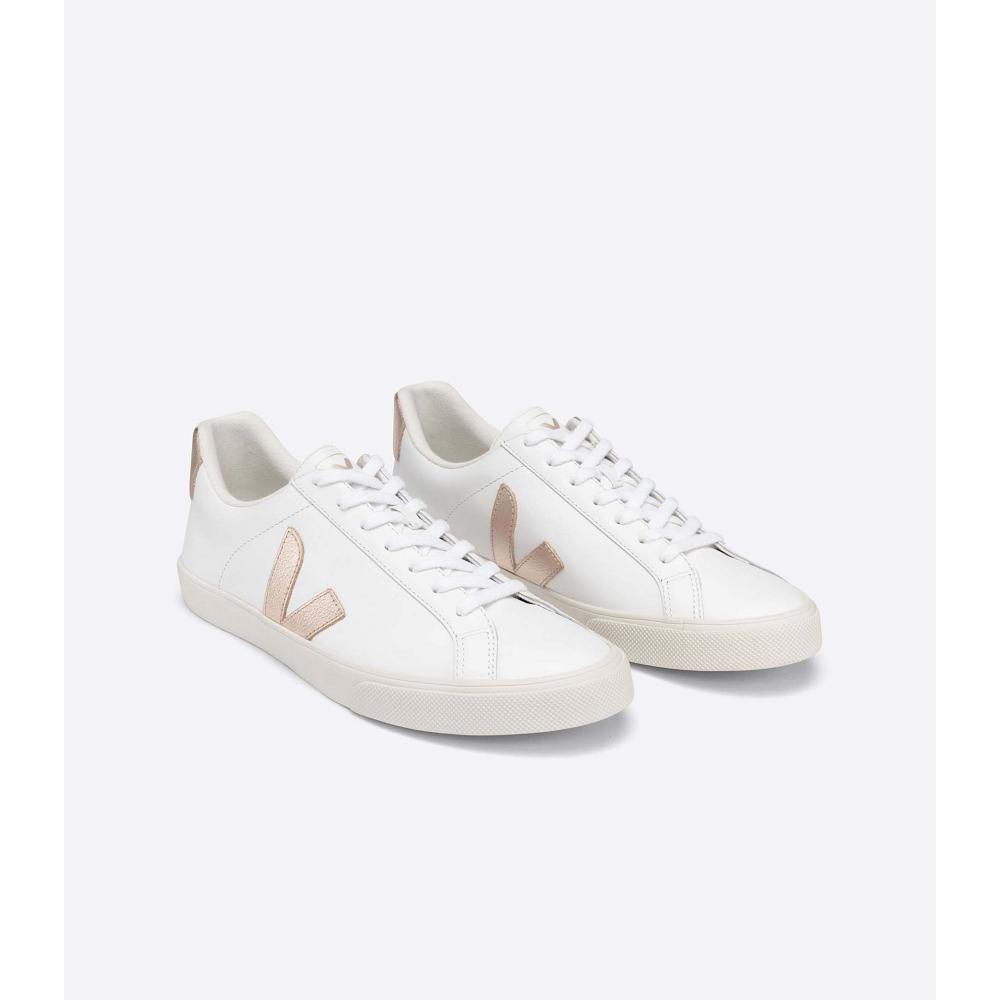 Veja ESPLAR LEATHER Tornacipő Női White/Brown | HU 606TCE